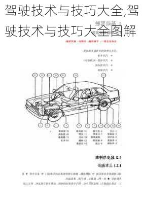 驾驶技术与技巧大全,驾驶技术与技巧大全图解