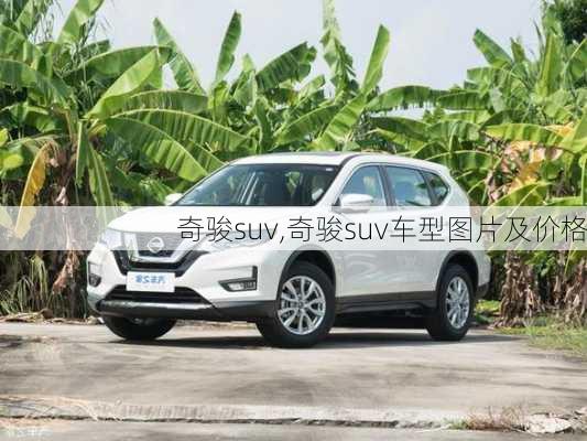 奇骏suv,奇骏suv车型图片及价格