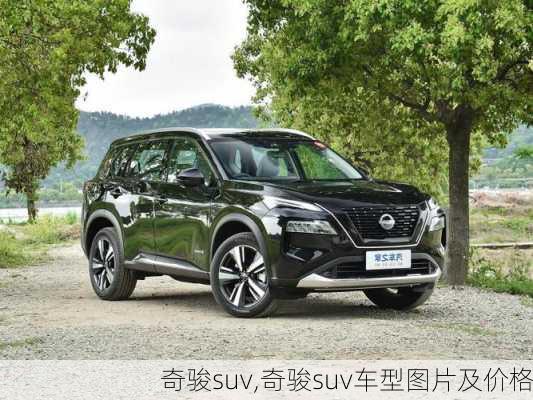 奇骏suv,奇骏suv车型图片及价格