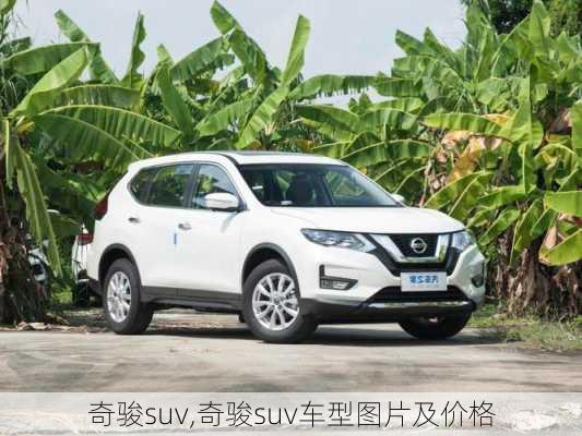 奇骏suv,奇骏suv车型图片及价格