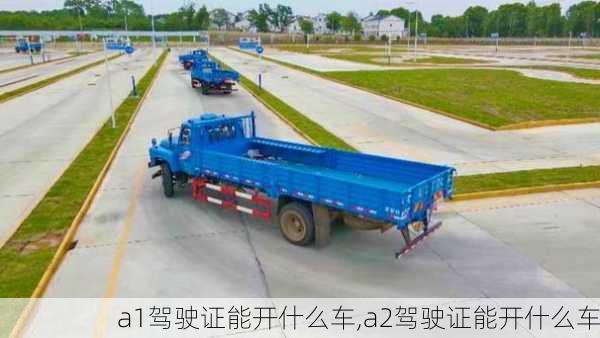 a1驾驶证能开什么车,a2驾驶证能开什么车