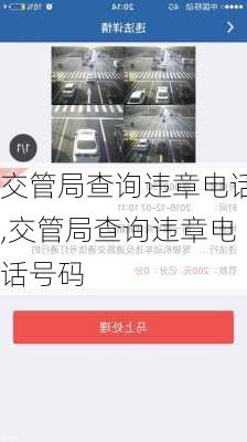 交管局查询违章电话,交管局查询违章电话号码