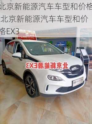 北京新能源汽车车型和价格,北京新能源汽车车型和价格EX3