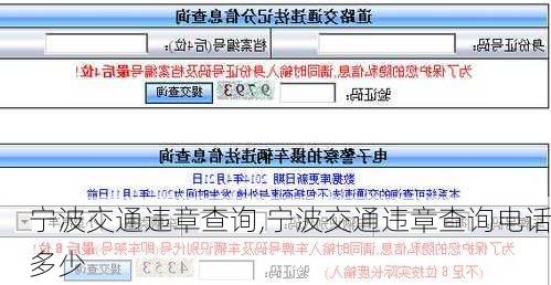 宁波交通违章查询,宁波交通违章查询电话多少