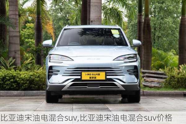 比亚迪宋油电混合suv,比亚迪宋油电混合suv价格