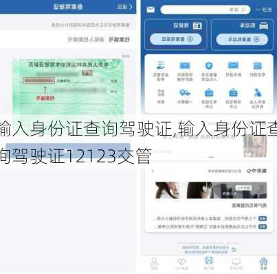 输入身份证查询驾驶证,输入身份证查询驾驶证12123交管