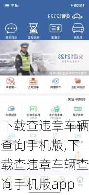 下载查违章车辆查询手机版,下载查违章车辆查询手机版app