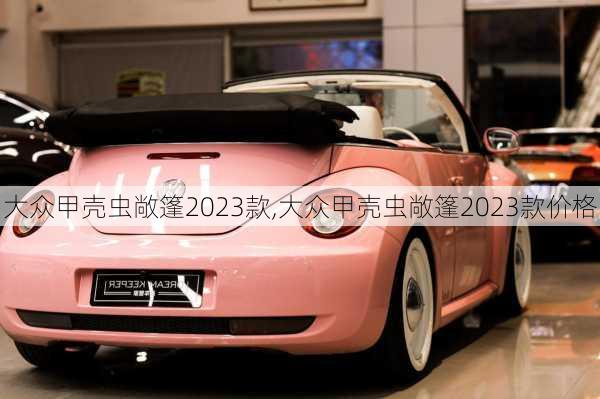 大众甲壳虫敞篷2023款,大众甲壳虫敞篷2023款价格