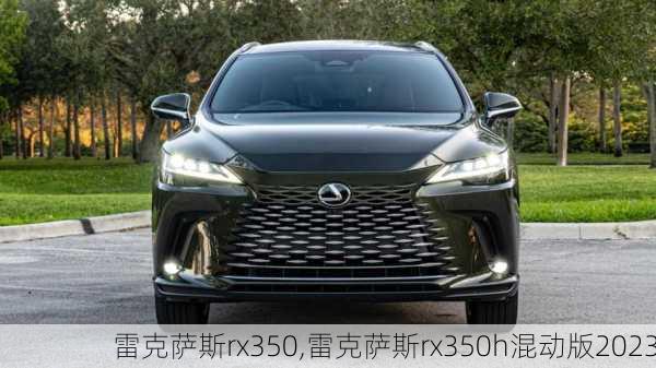 雷克萨斯rx350,雷克萨斯rx350h混动版2023