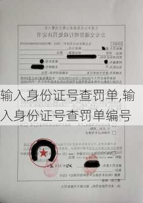 输入身份证号查罚单,输入身份证号查罚单编号