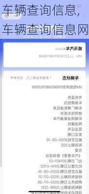 车辆查询信息,车辆查询信息网