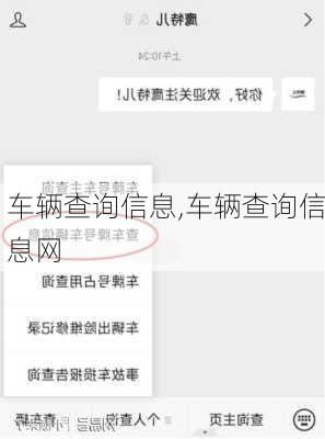 车辆查询信息,车辆查询信息网