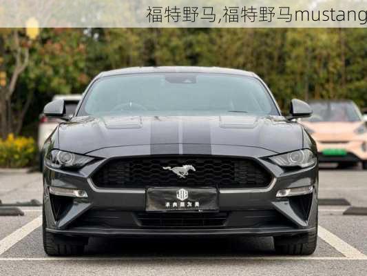 福特野马,福特野马mustang