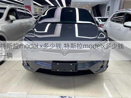 特斯拉model x多少钱,特斯拉modelx多少钱一辆