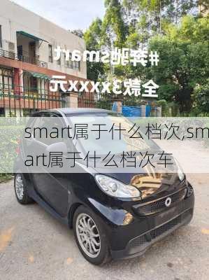 smart属于什么档次,smart属于什么档次车