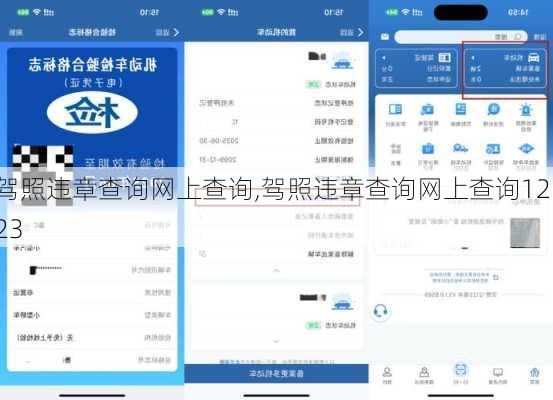 驾照违章查询网上查询,驾照违章查询网上查询12123