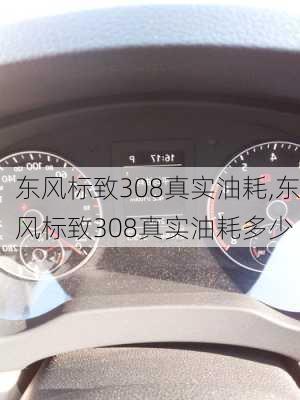 东风标致308真实油耗,东风标致308真实油耗多少