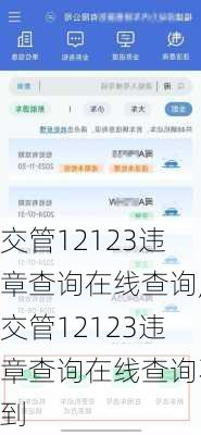 交管12123违章查询在线查询,交管12123违章查询在线查询不到