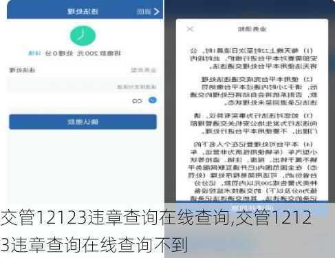 交管12123违章查询在线查询,交管12123违章查询在线查询不到