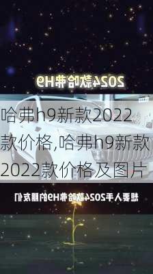 哈弗h9新款2022款价格,哈弗h9新款2022款价格及图片