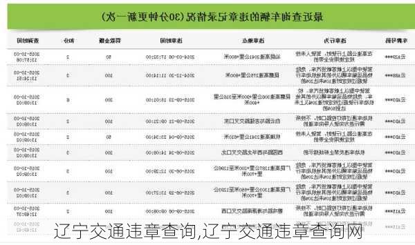 辽宁交通违章查询,辽宁交通违章查询网