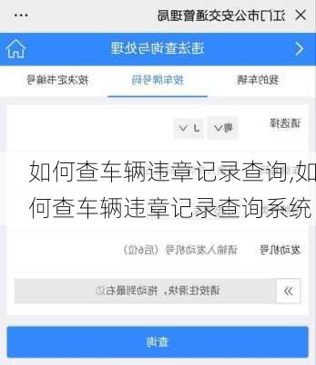 如何查车辆违章记录查询,如何查车辆违章记录查询系统