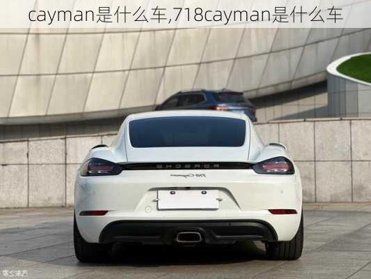 cayman是什么车,718cayman是什么车