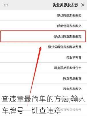 查违章最简单的方法,输入车牌号一键查违章