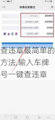 查违章最简单的方法,输入车牌号一键查违章