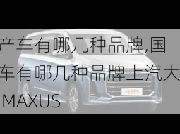 国产车有哪几种品牌,国产车有哪几种品牌上汽大通 MAXUS