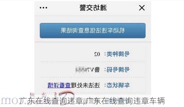广东在线查询违章,广东在线查询违章车辆