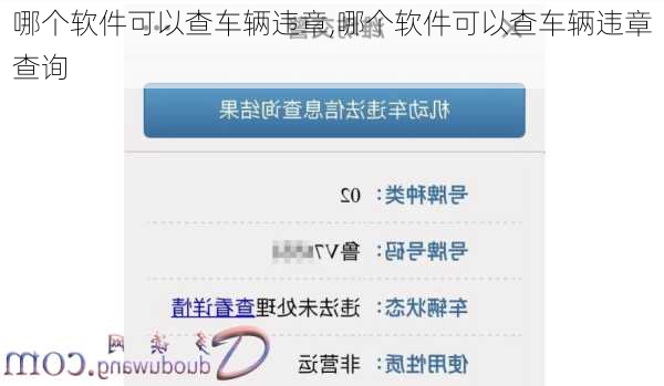 哪个软件可以查车辆违章,哪个软件可以查车辆违章查询