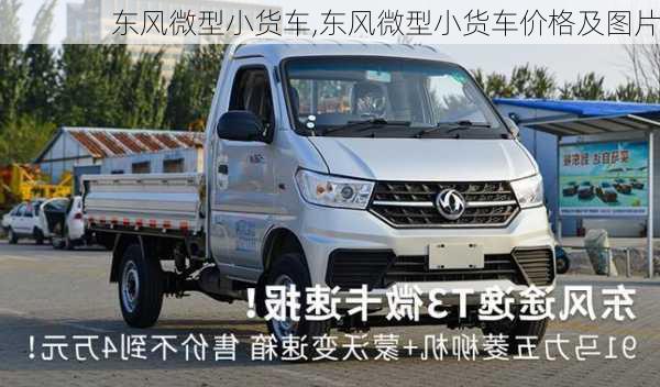 东风微型小货车,东风微型小货车价格及图片