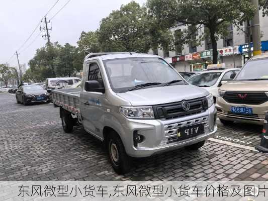 东风微型小货车,东风微型小货车价格及图片