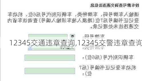 12345交通违章查询,12345交警违章查询