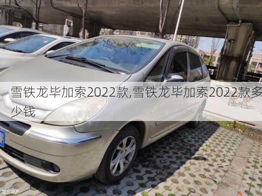 雪铁龙毕加索2022款,雪铁龙毕加索2022款多少钱