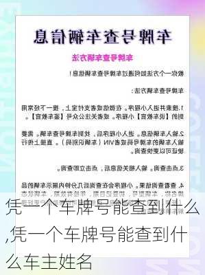 凭一个车牌号能查到什么,凭一个车牌号能查到什么车主姓名