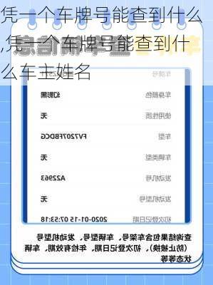凭一个车牌号能查到什么,凭一个车牌号能查到什么车主姓名