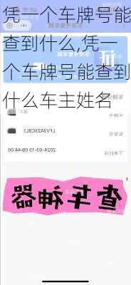 凭一个车牌号能查到什么,凭一个车牌号能查到什么车主姓名