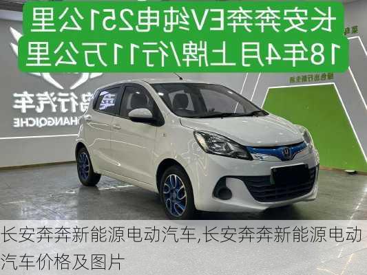 长安奔奔新能源电动汽车,长安奔奔新能源电动汽车价格及图片