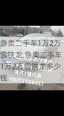 急卖二手车1万2万雪铁龙,急卖二手车1万2万雪铁龙多少钱