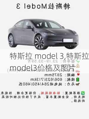 特斯拉 model 3,特斯拉model3价格及图片