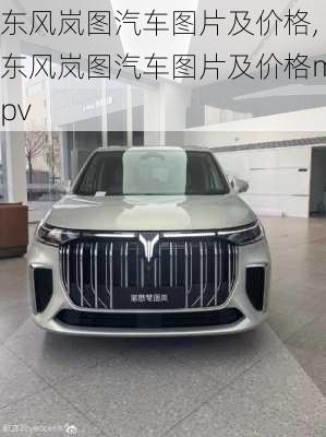 东风岚图汽车图片及价格,东风岚图汽车图片及价格mpv