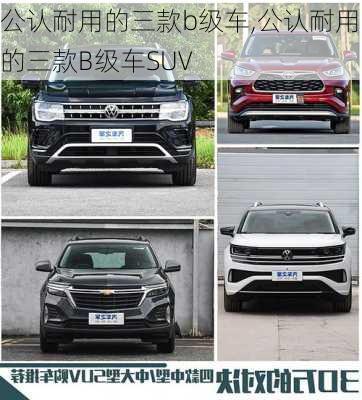 公认耐用的三款b级车,公认耐用的三款B级车SUV