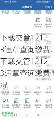 下载交管12123违章查询缴费,下载交管12123违章查询缴费情况