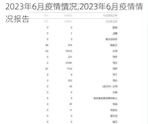 2023年6月疫情情况,2023年6月疫情情况报告