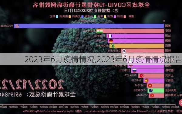 2023年6月疫情情况,2023年6月疫情情况报告