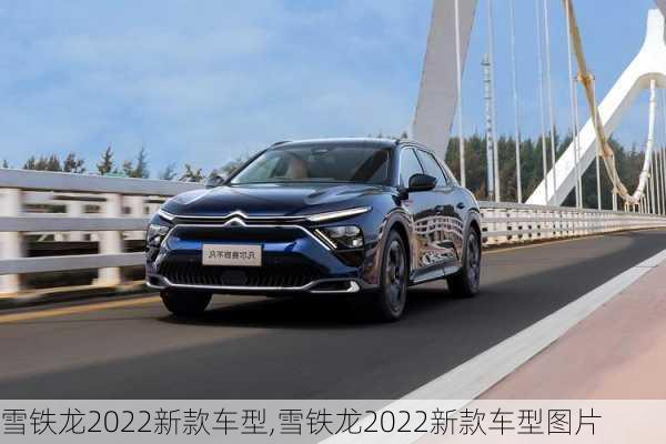 雪铁龙2022新款车型,雪铁龙2022新款车型图片