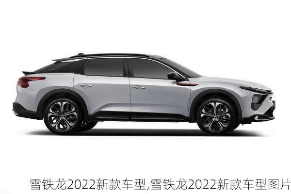 雪铁龙2022新款车型,雪铁龙2022新款车型图片