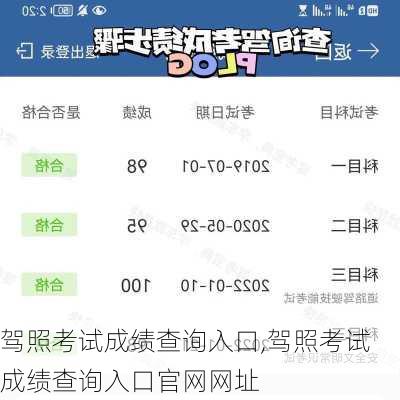 驾照考试成绩查询入口,驾照考试成绩查询入口官网网址